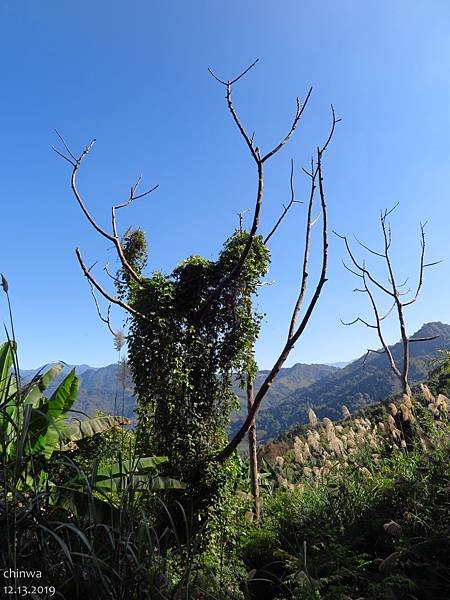 馬那邦山.珠湖線