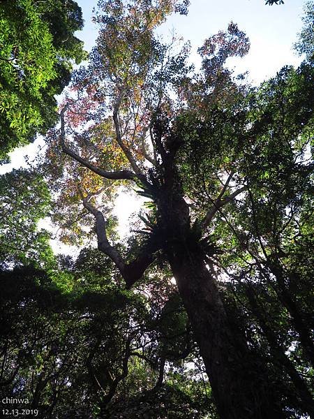 馬那邦山.珠湖線