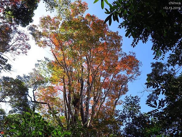 馬那邦山.古戰場紀念碑