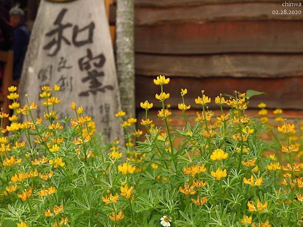 龍潭.和窯文創園區