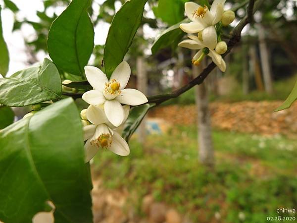 龍潭.和窯文創園區