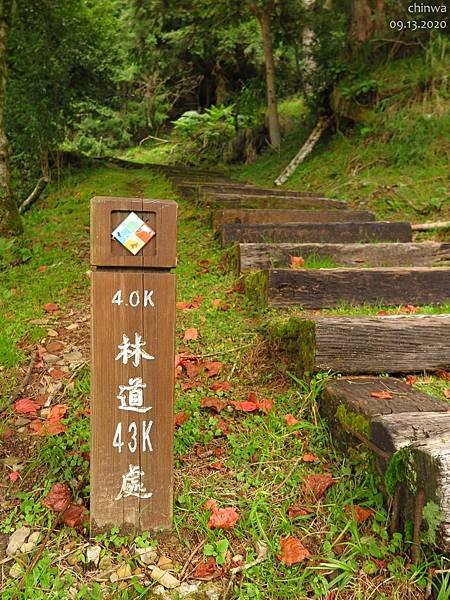 大雪山.木馬道