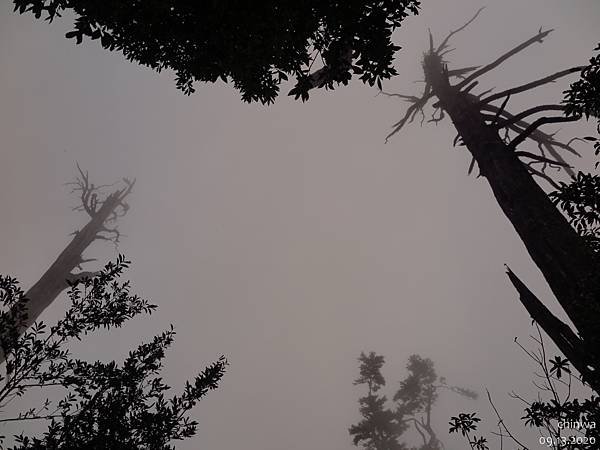 大雪山.稍來小雪山步道