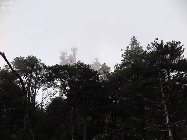 大雪山.稍來小雪山步道