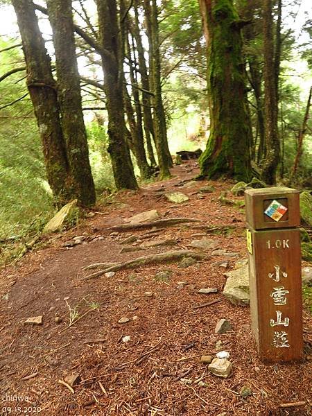 大雪山.稍來小雪山步道