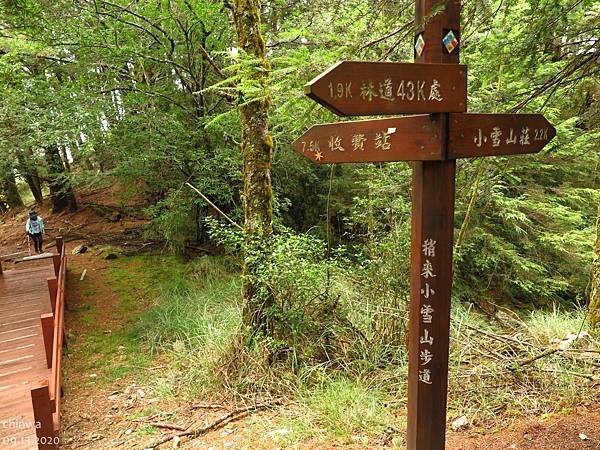 大雪山.稍來小雪山步道