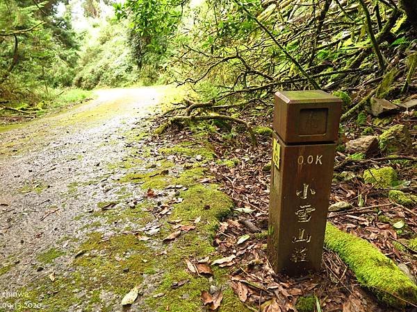 大雪山.稍來小雪山步道