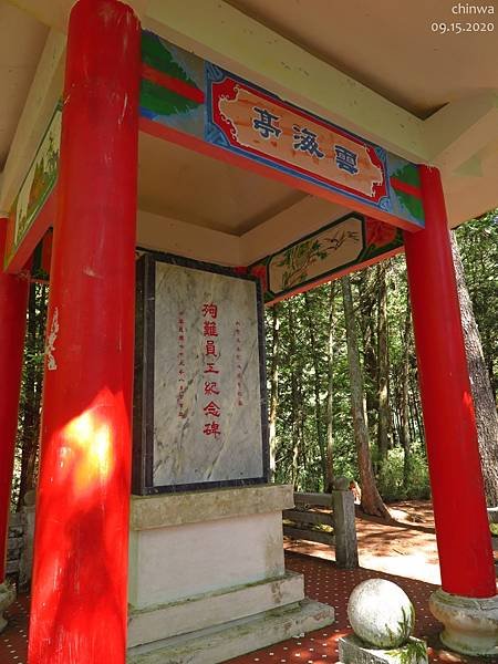 大雪山.雪山神木步道