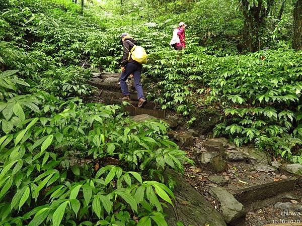 聖母登山步道