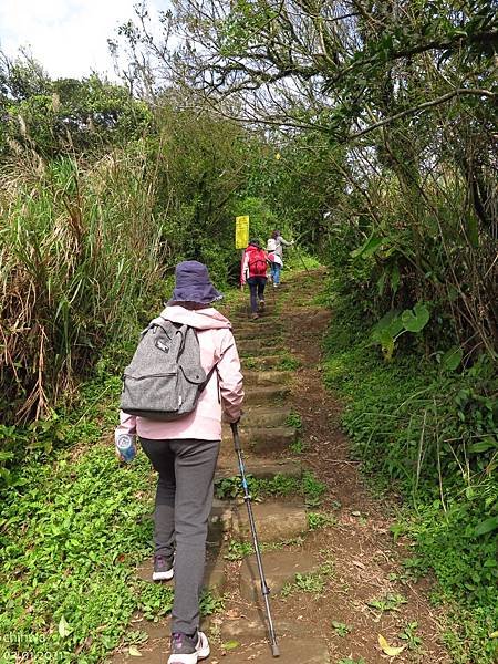 頂山石梯嶺步道.風櫃口