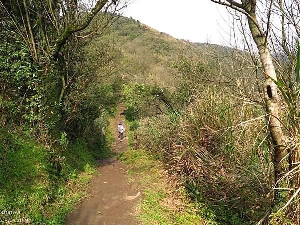 頂山石梯嶺步道