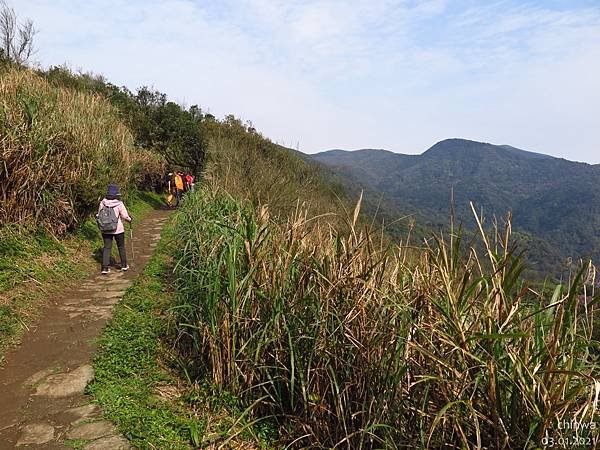 頂山石梯嶺步道