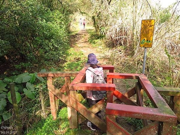 頂山石梯嶺步道