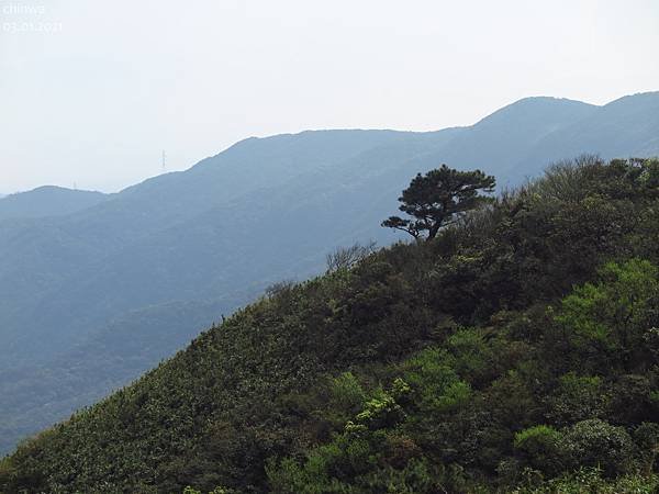 頂山石梯嶺步道