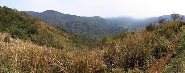 頂山石梯嶺步道