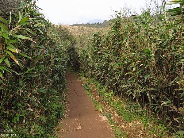 頂山石梯嶺步道