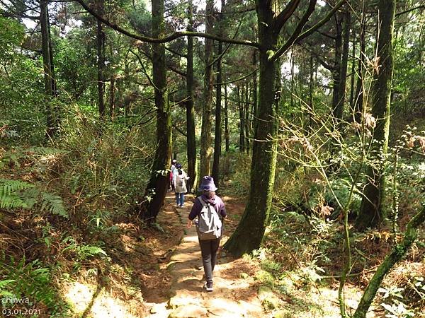 頂山石梯嶺步道