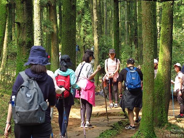 頂山石梯嶺步道