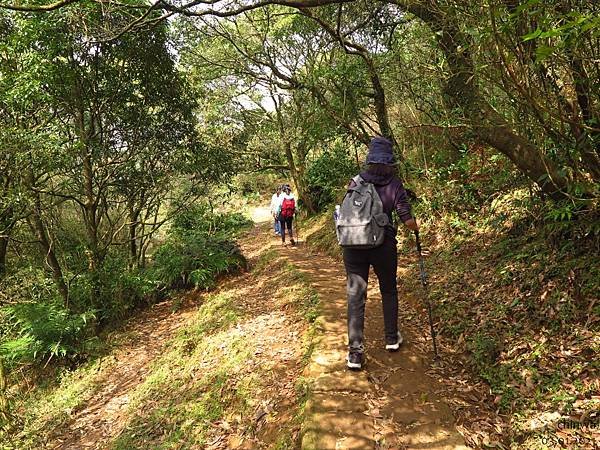 頂山石梯嶺步道