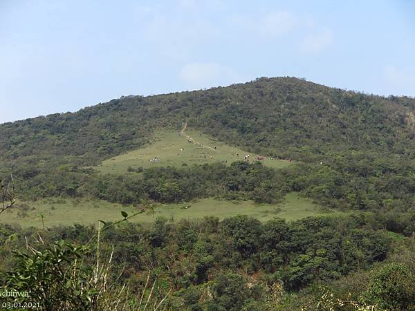 頂山石梯嶺步道