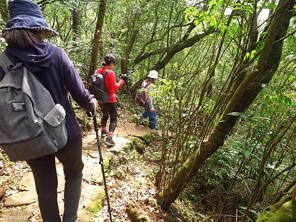 頂山石梯嶺步道