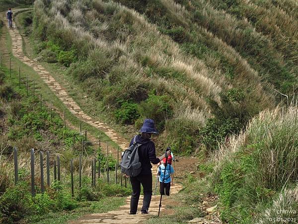 頂山石梯嶺步道