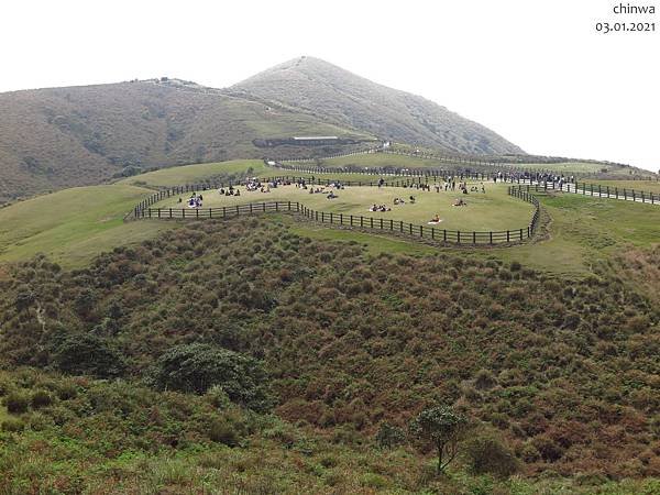 頂山石梯嶺步道.擎天崗