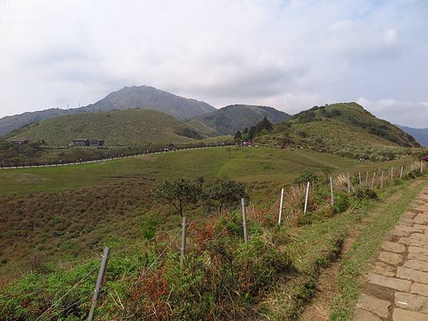 頂山石梯嶺步道.擎天崗