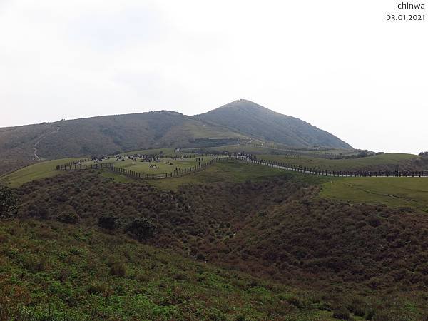 頂山石梯嶺步道.擎天崗