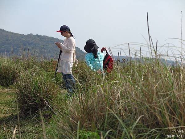 頂山石梯嶺步道