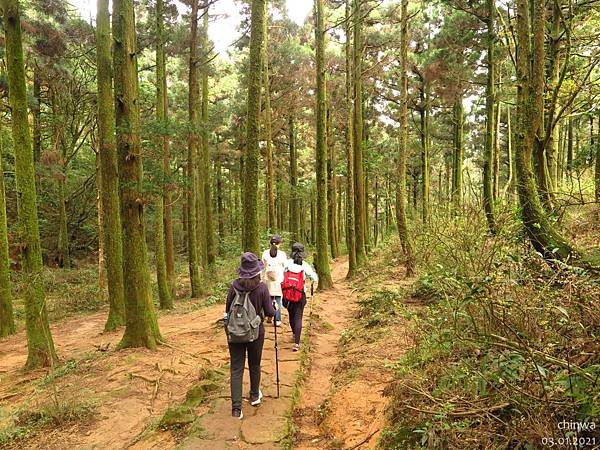 頂山石梯嶺步道