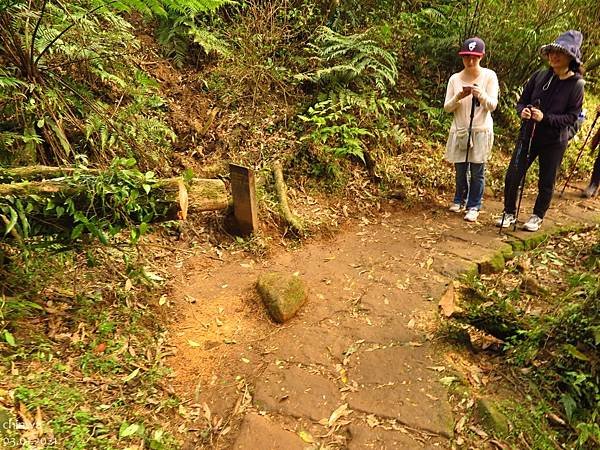 頂山石梯嶺步道