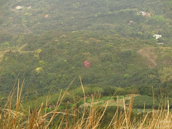 頂山石梯嶺步道