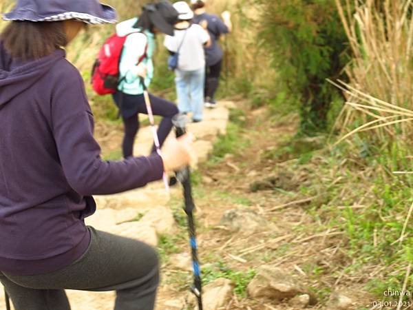 頂山石梯嶺步道