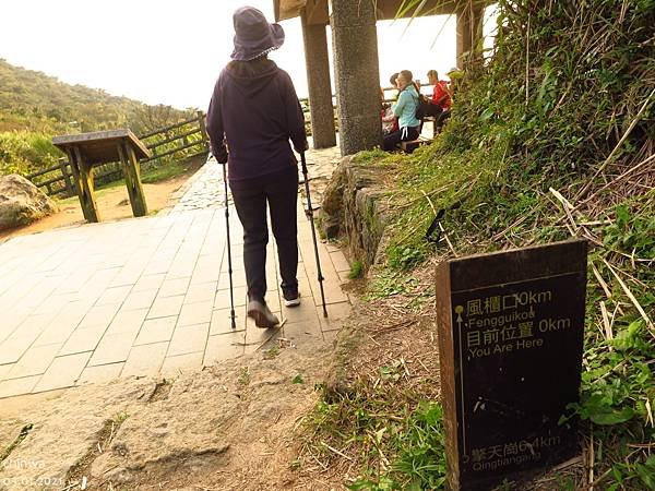 頂山石梯嶺步道.風櫃口