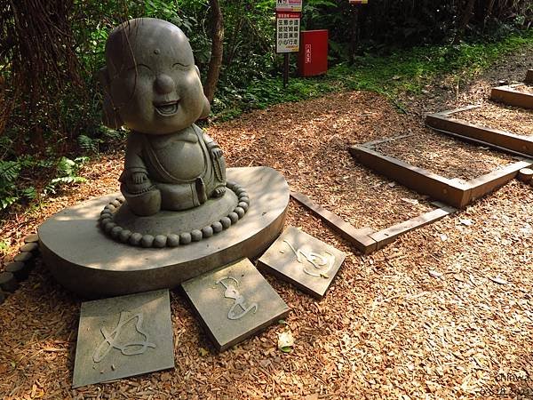 金山.獅頭山公園