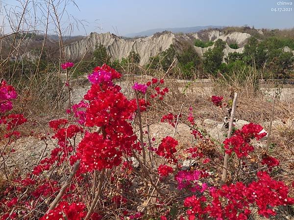 高雄.田寮月世界