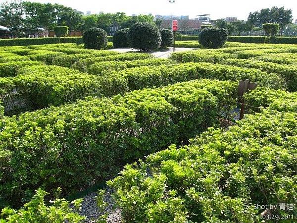 新生) 迷宮花園