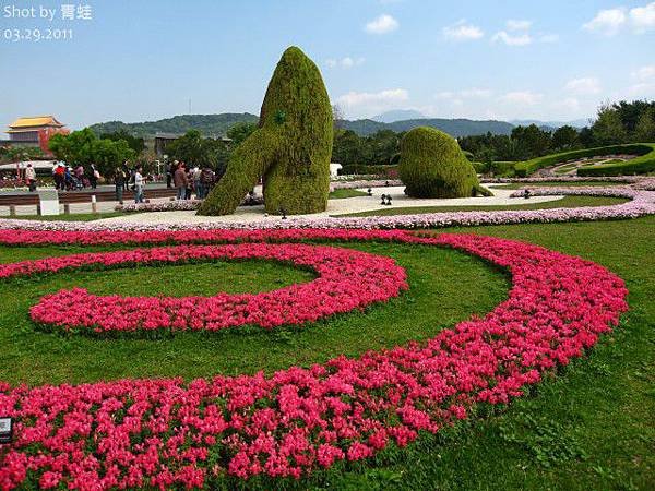 新生) 林下花圃花海