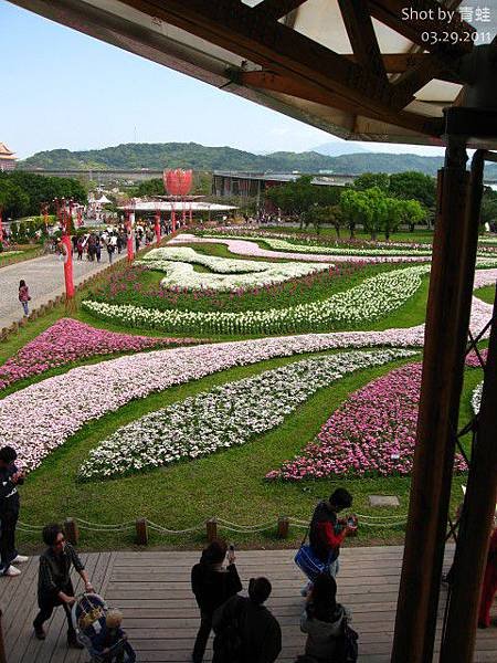 新生) 林下花圃花海