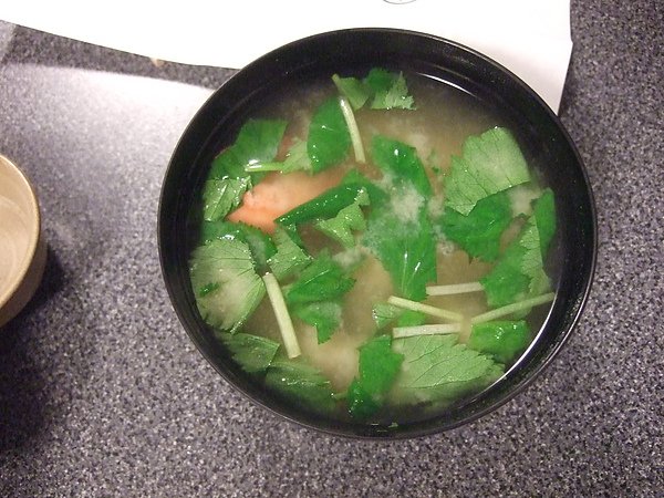 DSCF8605.JPG