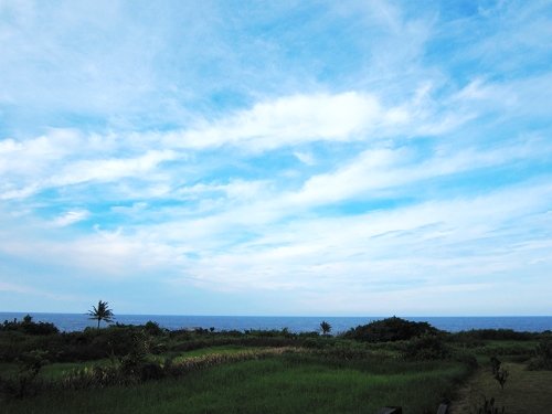 照片 800-編-10.jpg
