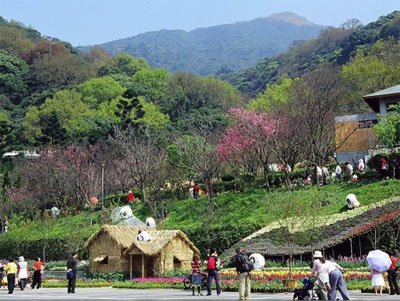 陽明山溫泉區.jpg