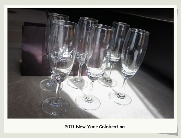 2011 New Year
