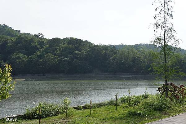 (苗栗) 幽靜的湖光山色 @ 海棠島