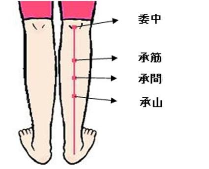 快速瘦腿瘦腿美腿腿變細怎樣瘦大腿有效瘦腿方法