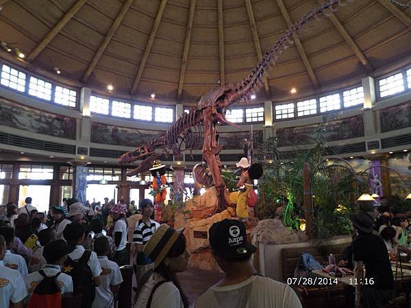 IMG_2471