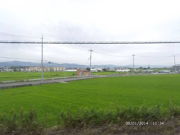 IMG_3242