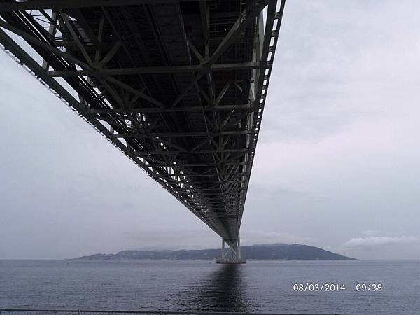 IMG_3516