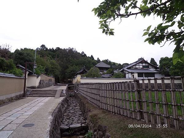IMG_4209